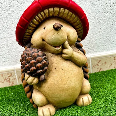 A Designed With Love, Enriched By Our Balcony Garden Tirana